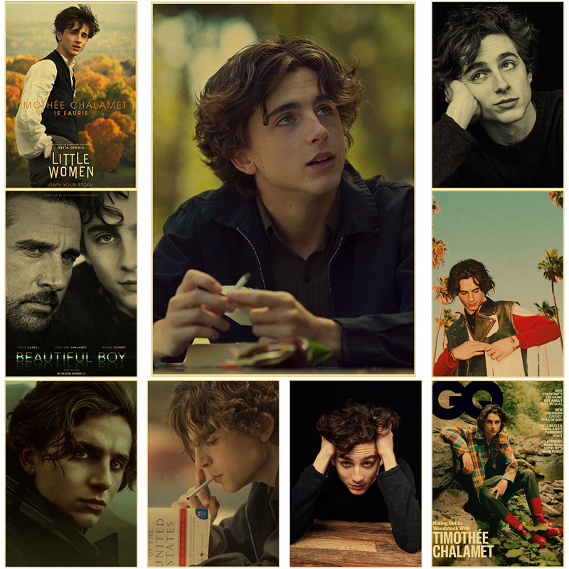 Home Bar And Theater - Timothee Chalamet Retro Canvas Schilderij Poster